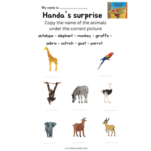 Handa's surprise writing worksheets