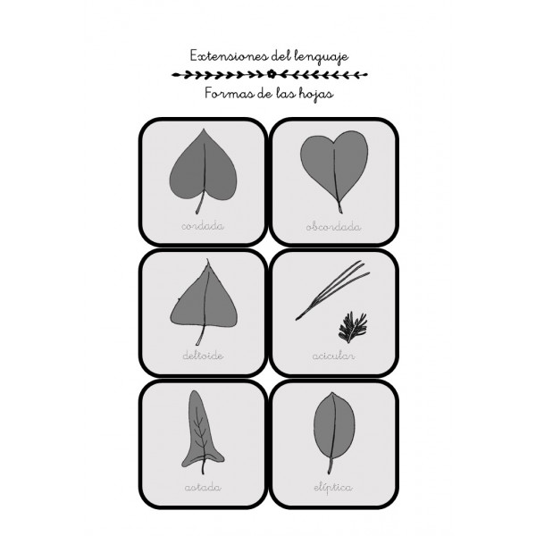 Aprende con Montessori - Libro de actividades y propuestas