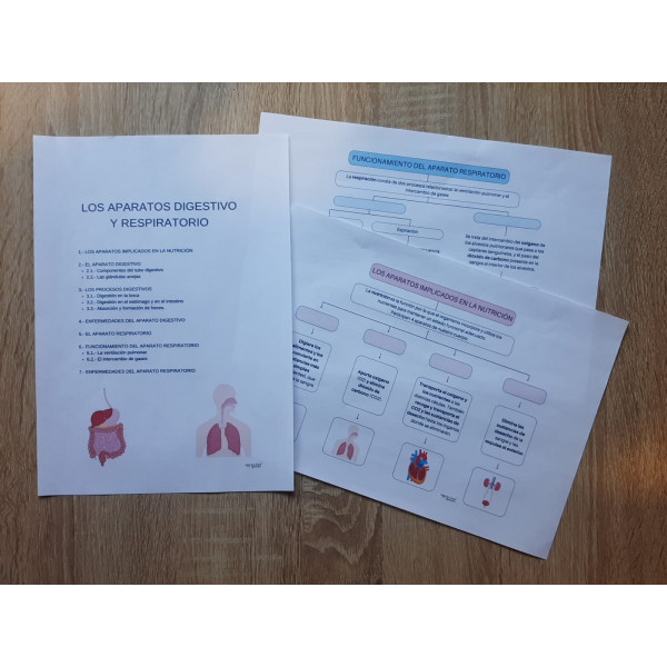 LOS APARATOS DIGESTIVO Y RESPIRATORIO