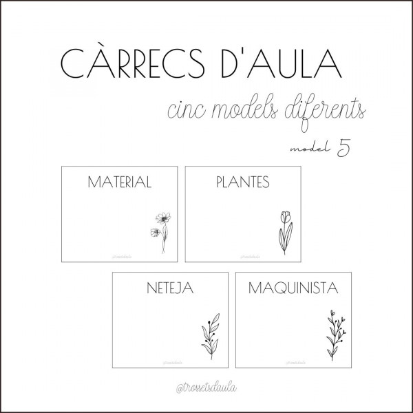 CÀRRECS D'AULA (5 MODELS DIFERENTS)