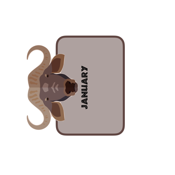 Happy Birthday months SAFARI THEME