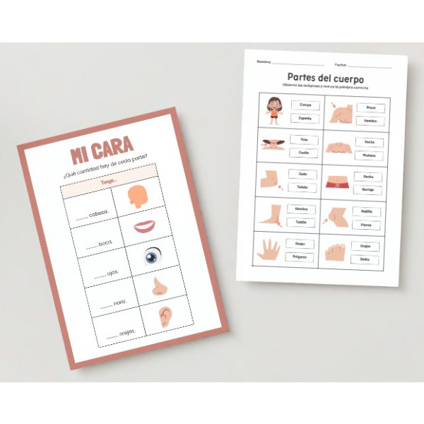 El cuerpo humano: actividades y propuestas