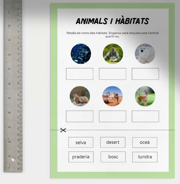 Animals i hàbitats