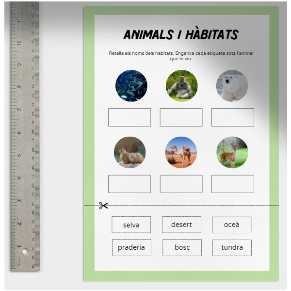 Animals i hàbitats