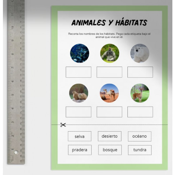 Animales y hábitats
