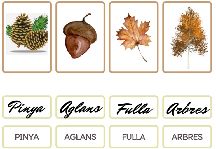 VOCABULARI DE LA TARDOR