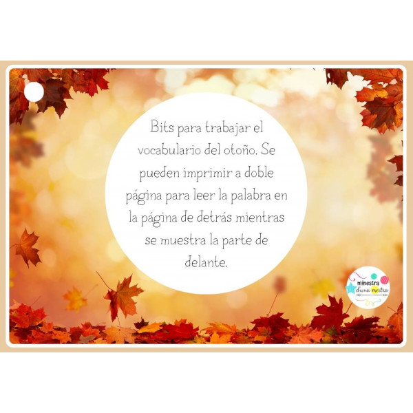 Bits OTOÑO