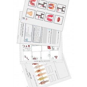 L'aparell respiratori