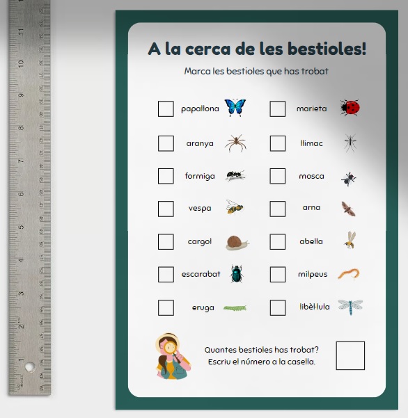 Activitat de camp: Cerca bestioles