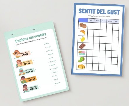 Els cinc sentits: activitats i propostes