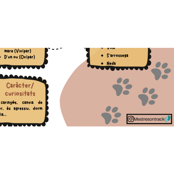 Descripció d'un animal (tipologia textual) -CAT