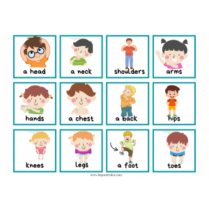 From head to toe memory cards