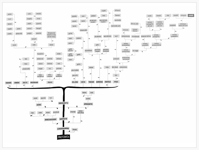 Cartell: Origen de les llengües