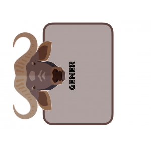 Feliç Aniversari mesos temàtica SAFARI