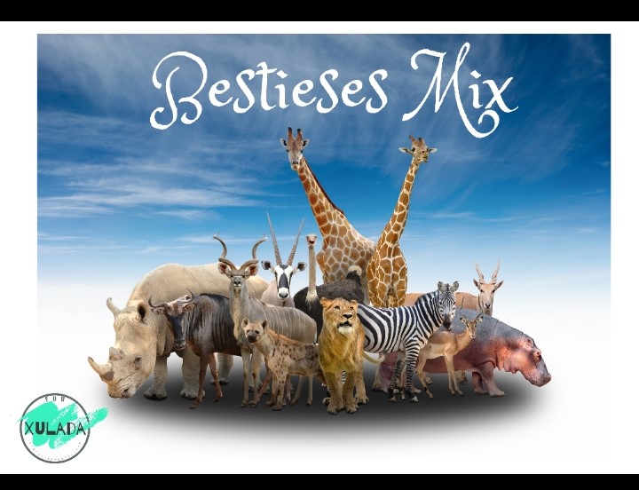 BESTIESes MIX