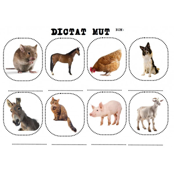 DICTAT MUT