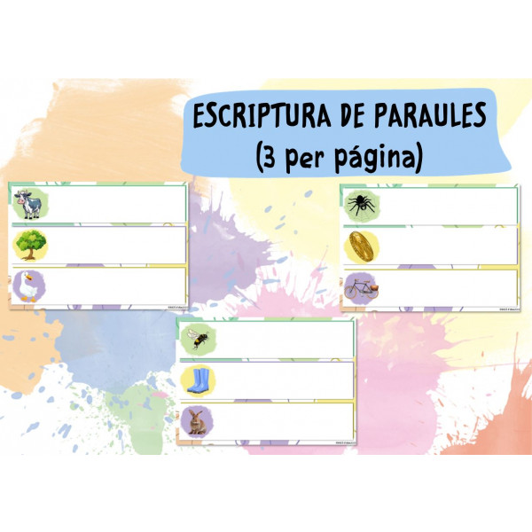 Escriptura de paraules