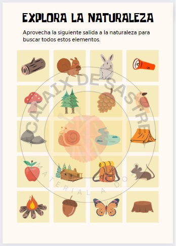 Explora la naturaleza (+ memory)