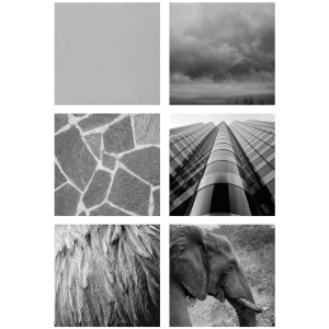 Colores de la naturaleza - Colors de la natura