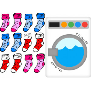 Anterior y posterior