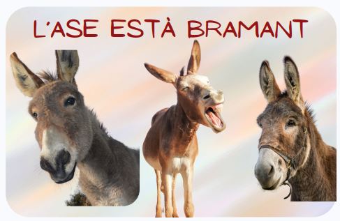 Comprensions lectores d'animals