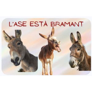 Comprensions lectores d'animals