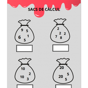 Sacs de càlcul
