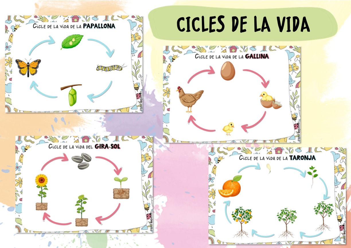 Cicles de la vida
