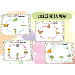Cicles de la vida