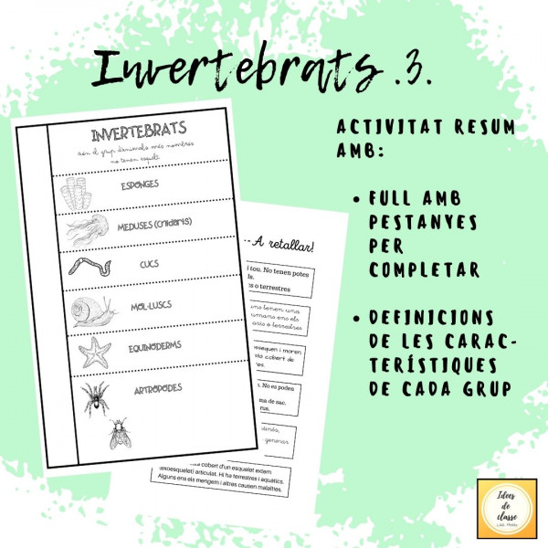 Animals invertebrats