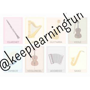 TARGETES INSTRUMENTS