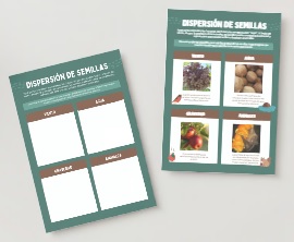 Dispersión de semillas