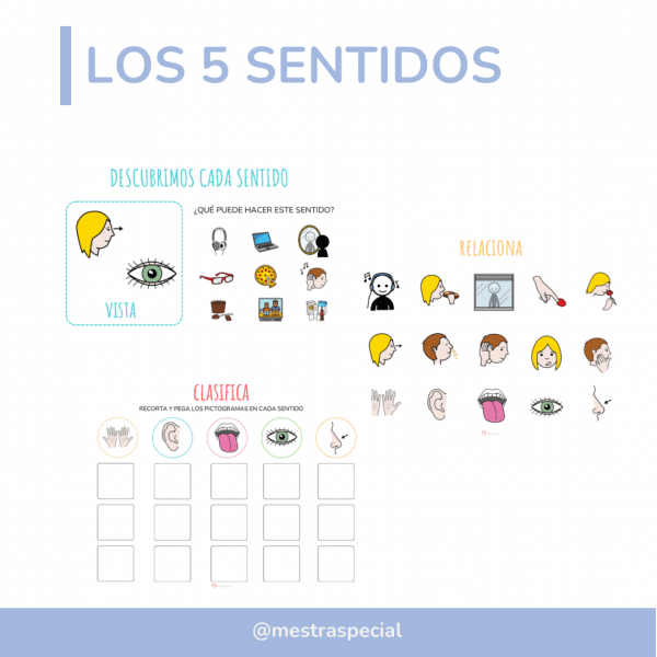 Els 5 sentits /Los 5 sentidos