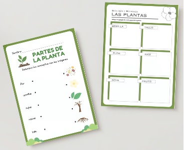 Biología y botánica