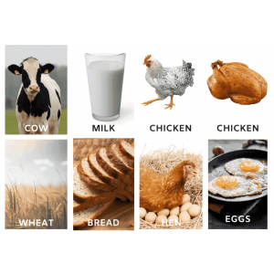 Food from the farm photos