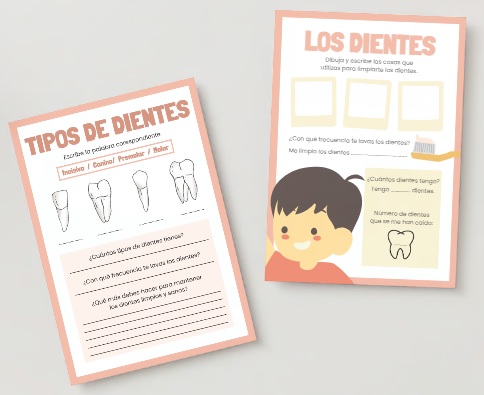Tipos de dientes y hábitos saludables