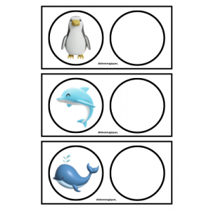 SONS INICIALS I FINALS