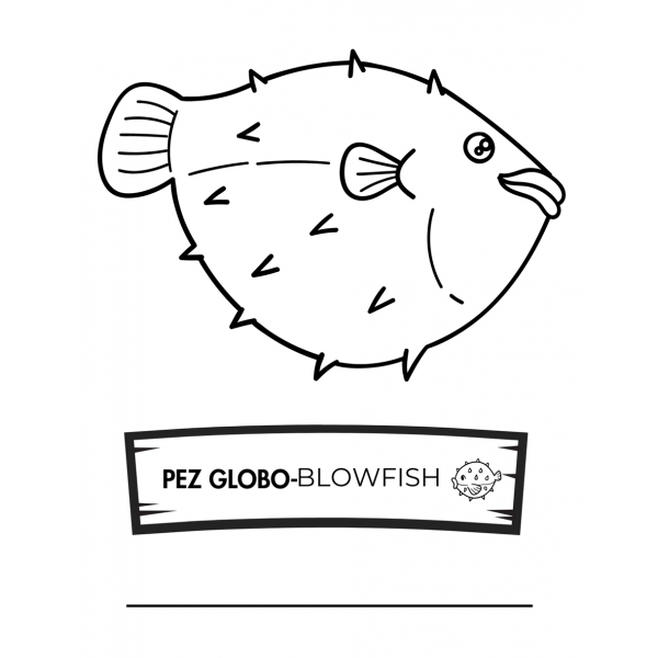 CUADERNO CON GRAN VARIEDAD DE ACTIVIDADES INFANTILES PARA NIÑOS Y NIÑAS DE 3 A 6 AÑOS (ESPAÑOL E INGLÉS)