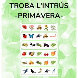 Troba l'intrús PRIMAVERA