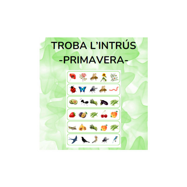 Troba l'intrús PRIMAVERA