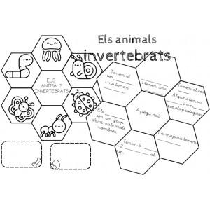 Els animals invertebrats