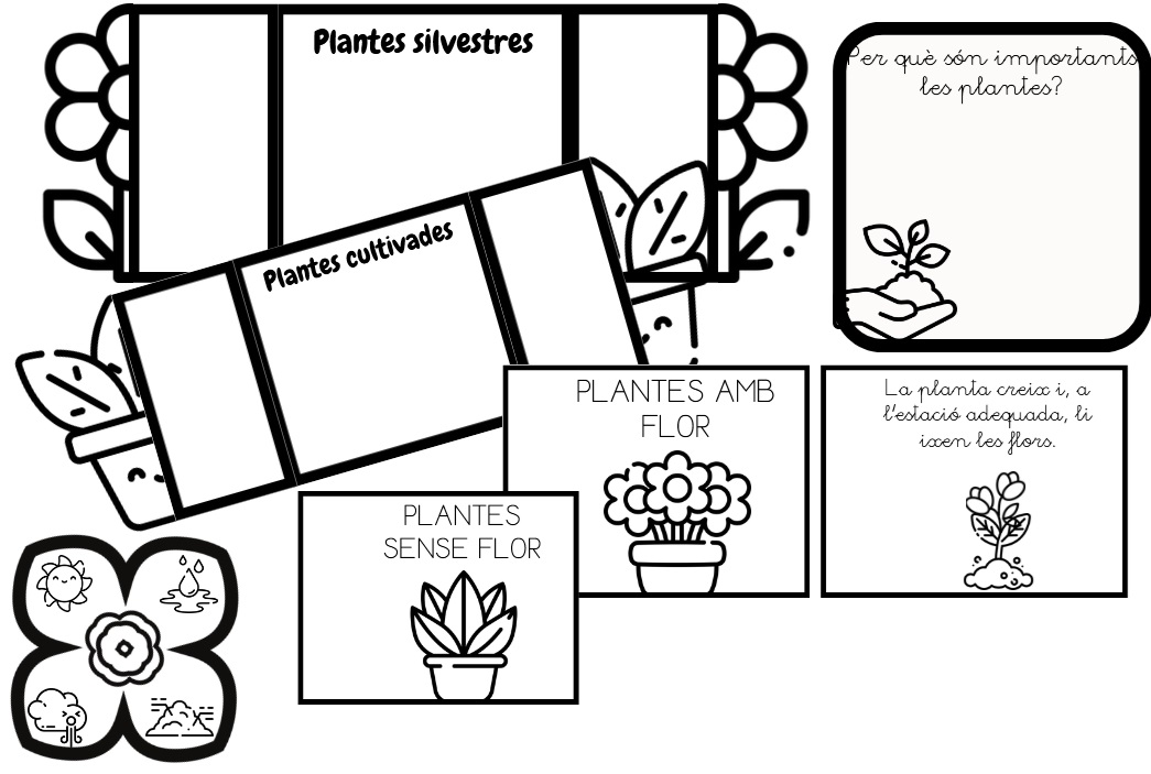 Les plantes