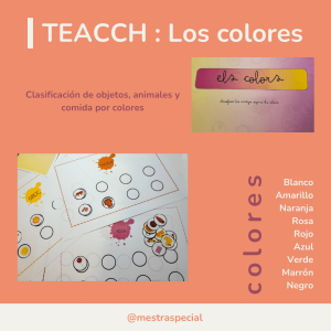 Clasificar colores (TEACCH)