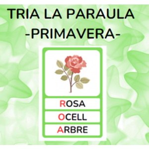 Tria la paraula - PRIMAVERA
