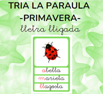 Tria la paraula - PRIMAVERA - lletra lligada