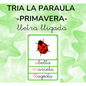 Tria la paraula - PRIMAVERA - lletra lligada