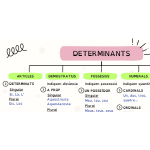 Pòster tipus de determinants