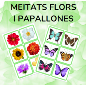 Meitats flors i papallones - PRIMAVERA