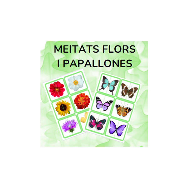 Meitats flors i papallones - PRIMAVERA