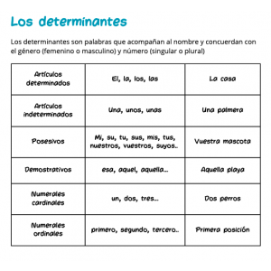 ESQUEMA DETERMINANTES